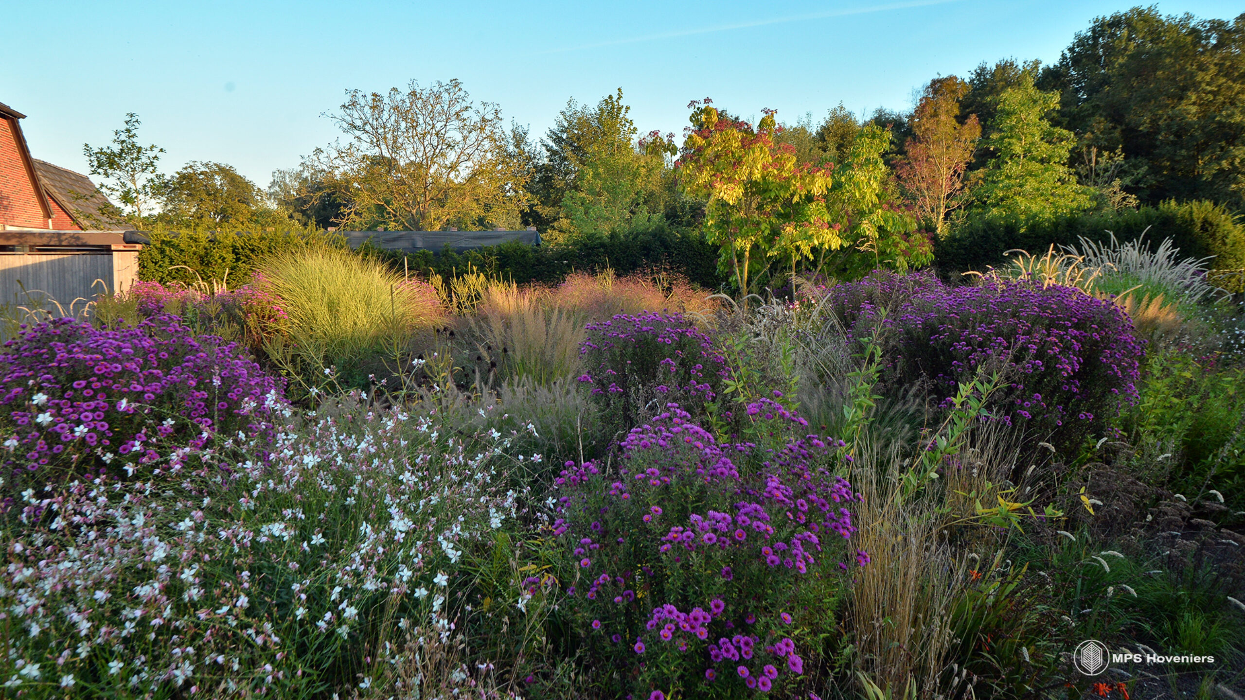 MPS Voortuin 4 Seizoenen 3